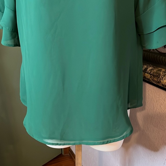 Cutest Ann Taylor  Green Semi Sheer Ruffle Sleeves Top Sz S - Picture 3 of 9